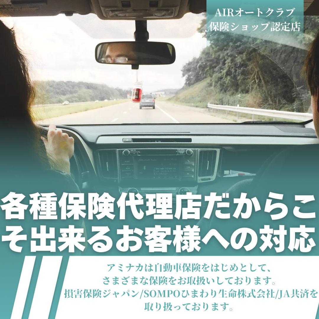 アミナカ自動車保険取り扱っています🐼