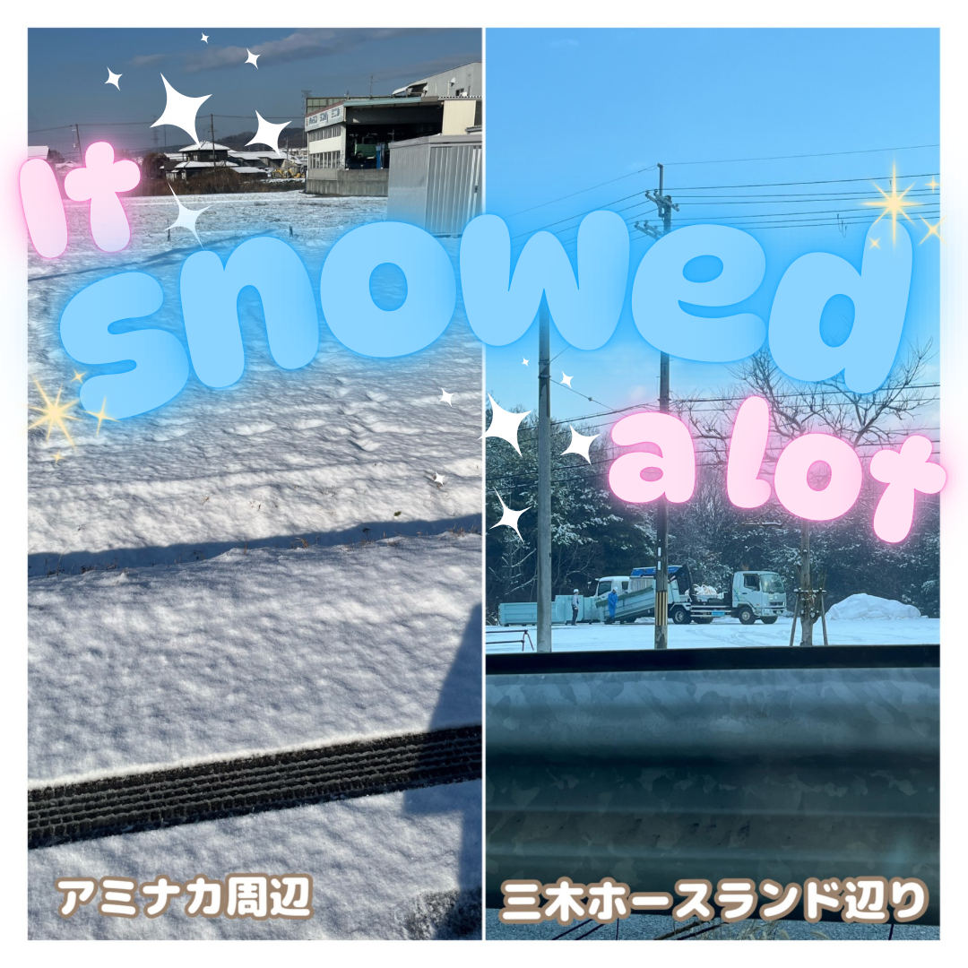 先日の雪のお話⛄