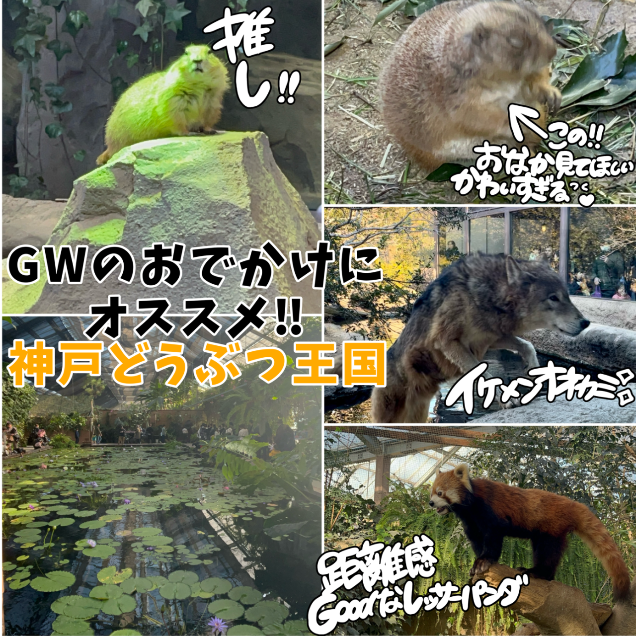 GWのおでかけに✨